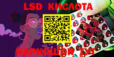 мдпв Обь