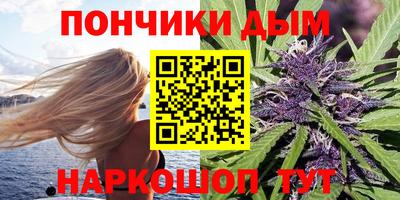 мдпв Обь