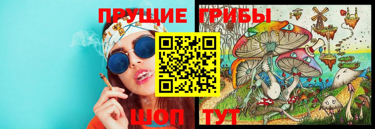 Галлюциногенные грибы Cubensis Троицк
